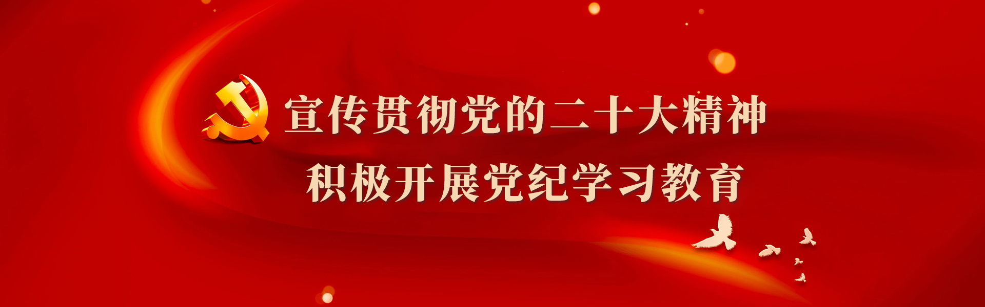 二十大精神